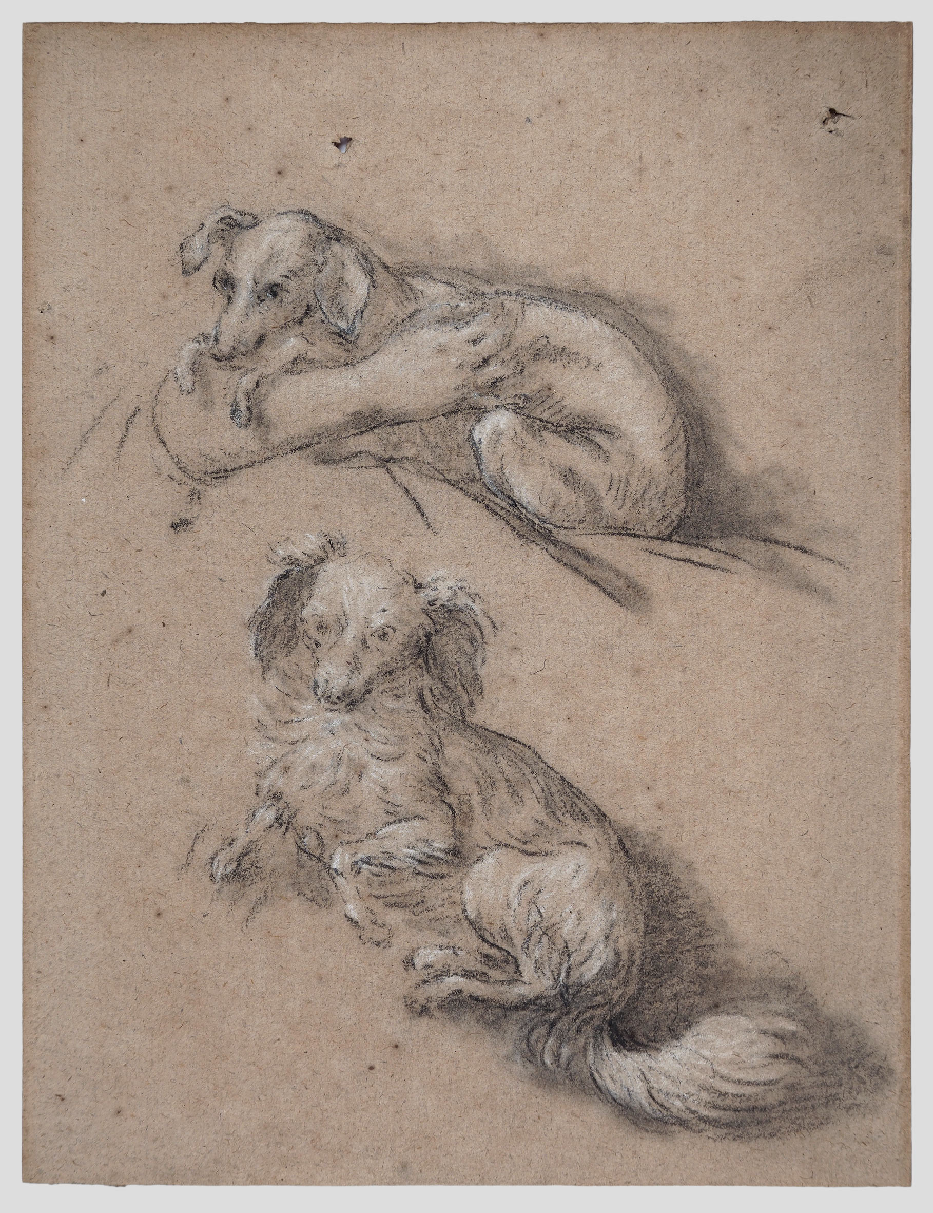 Galerie RattonLadrière